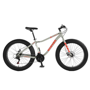 Bicicleta Elleven Fat Aro 26 Susp. Dianteira 21 Marchas - Laranja