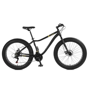Bicicleta Elleven Fat Aro 26 Rígida 21 Marchas - Cinza